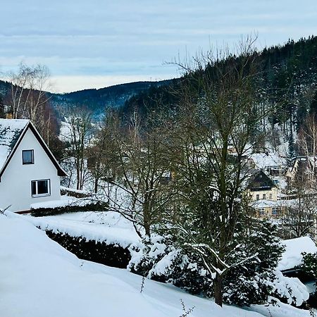 Urige Berghuette Mit Kamin Und Sauna Im Erzgebirge Nahe Schwarzwassertal Pobershau Luaran gambar