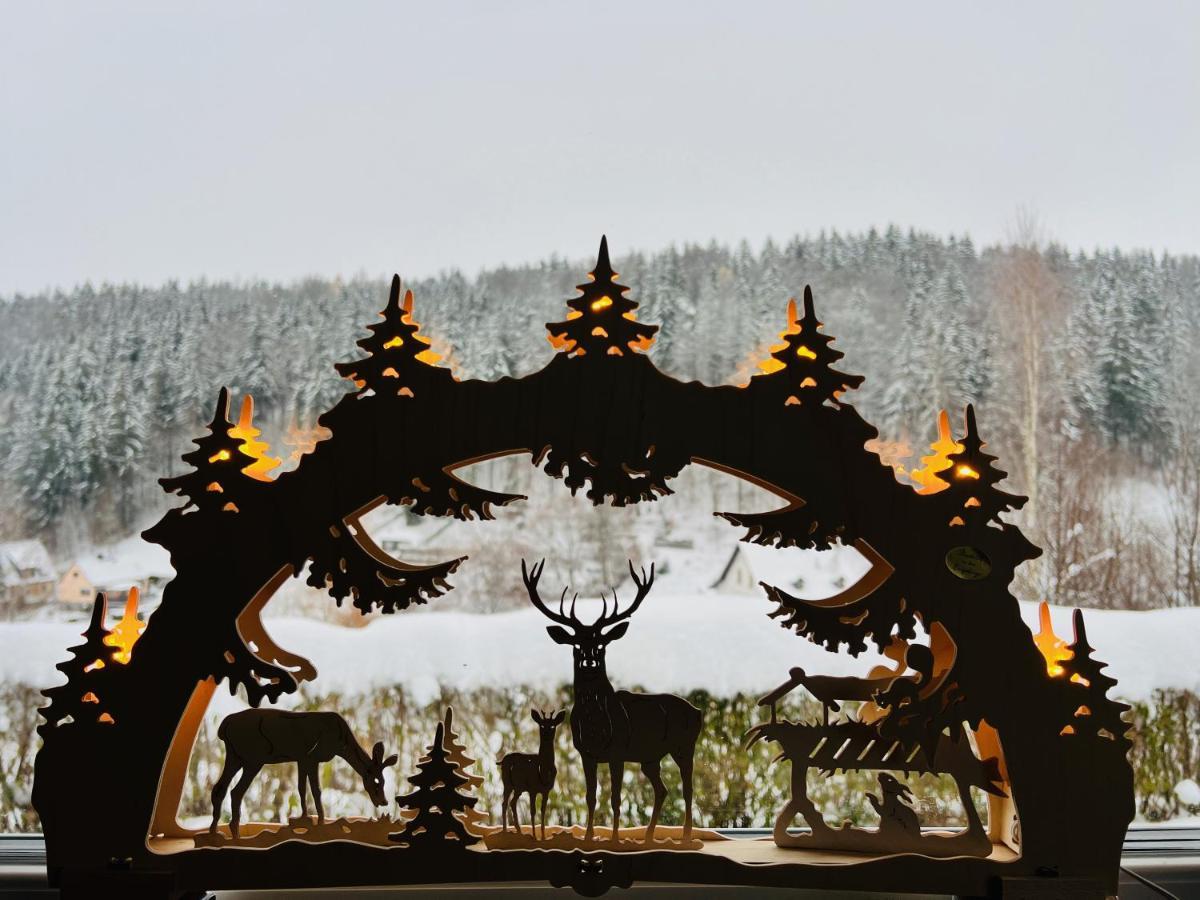 Urige Berghuette Mit Kamin Und Sauna Im Erzgebirge Nahe Schwarzwassertal Pobershau Luaran gambar