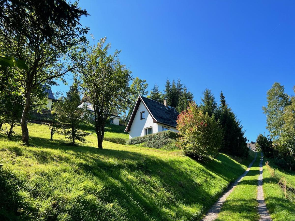 Urige Berghuette Mit Kamin Und Sauna Im Erzgebirge Nahe Schwarzwassertal Pobershau Luaran gambar